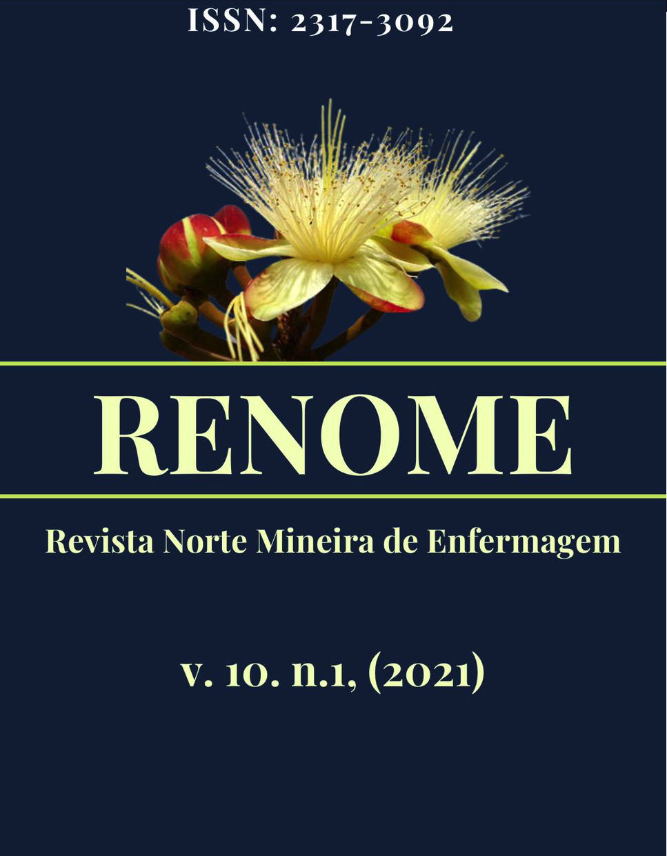 					Visualizar v. 10 n. 1 (2021): Revista Norte Mineira de Enfermagem - RENOME
				