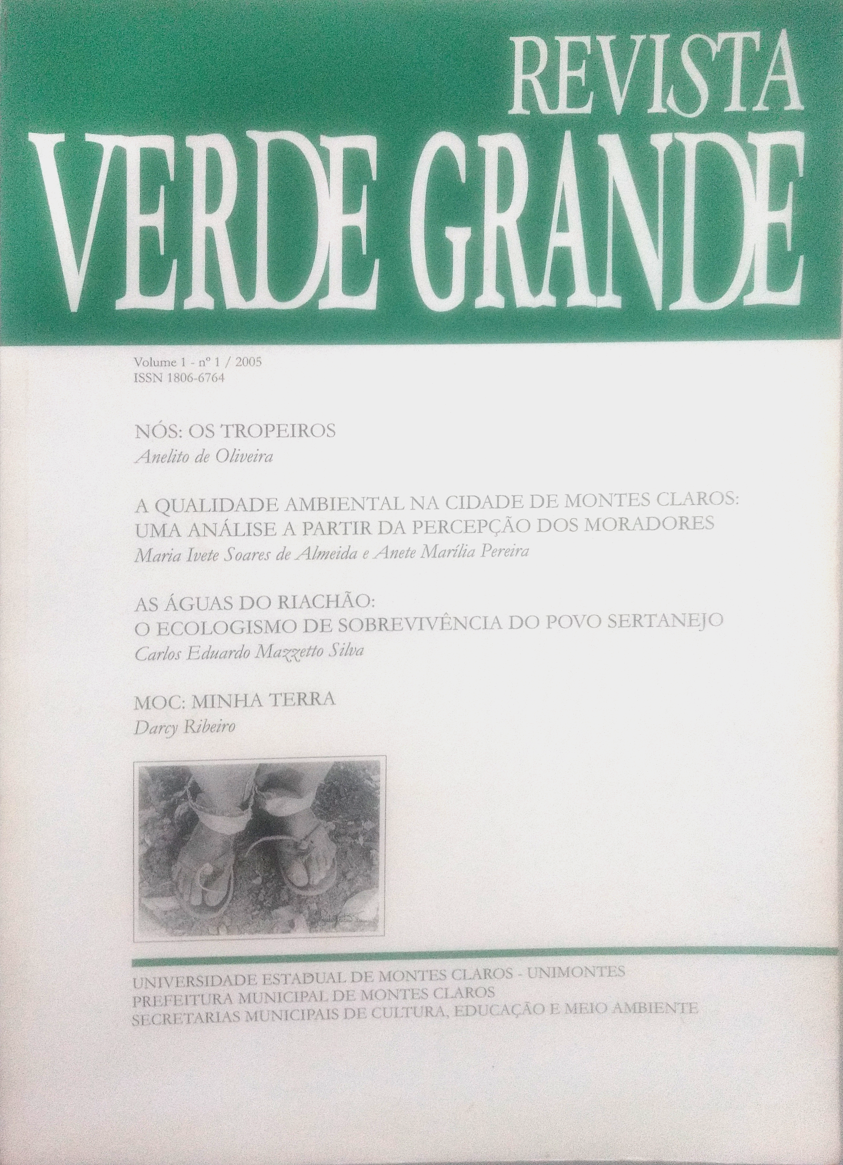 					Visualizar v. 1 n. 1 (2005): Verde Grande - 1 Versão Impressa
				